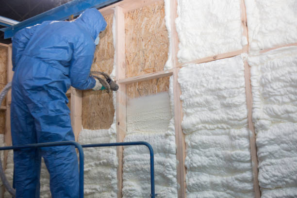 Best Insulation Replacement  in Dodgeville, WI